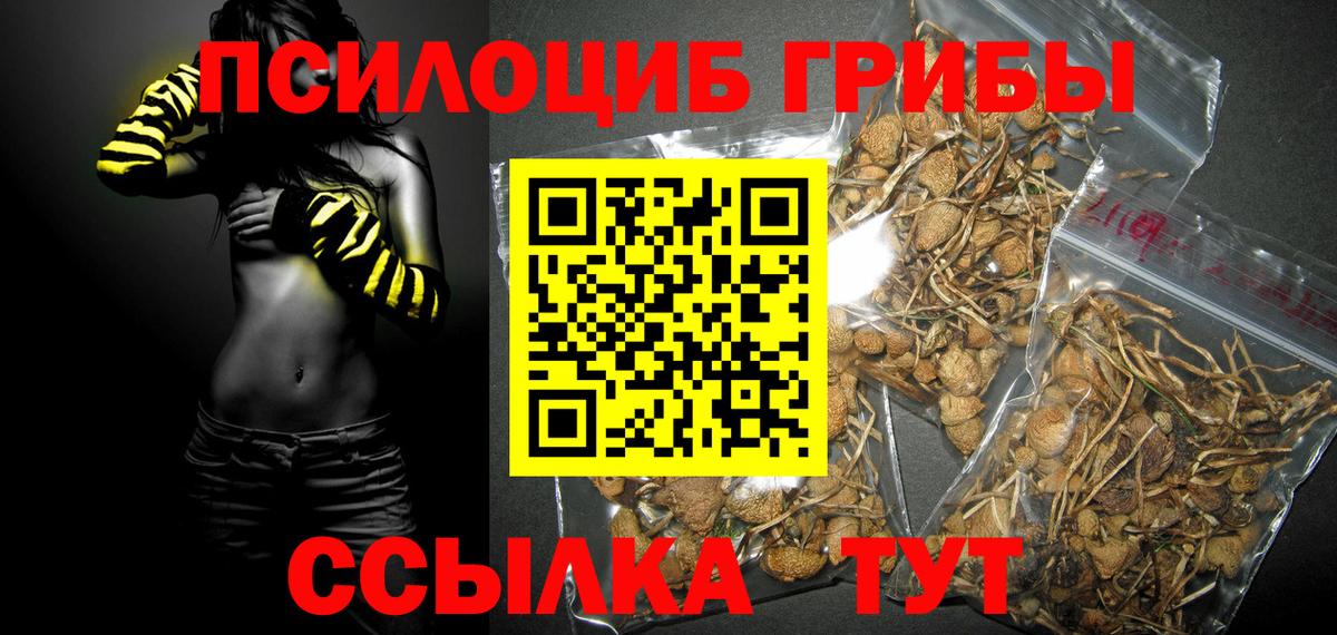 Электросталь  Псилоцибиновые грибы GOLDEN TEACHER  Вход с VPN 