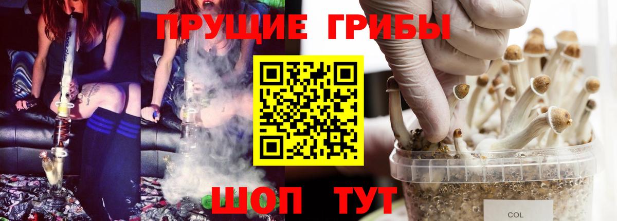Псилоцибиновые грибы Psilocybe Электросталь